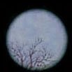 themoon.jpg